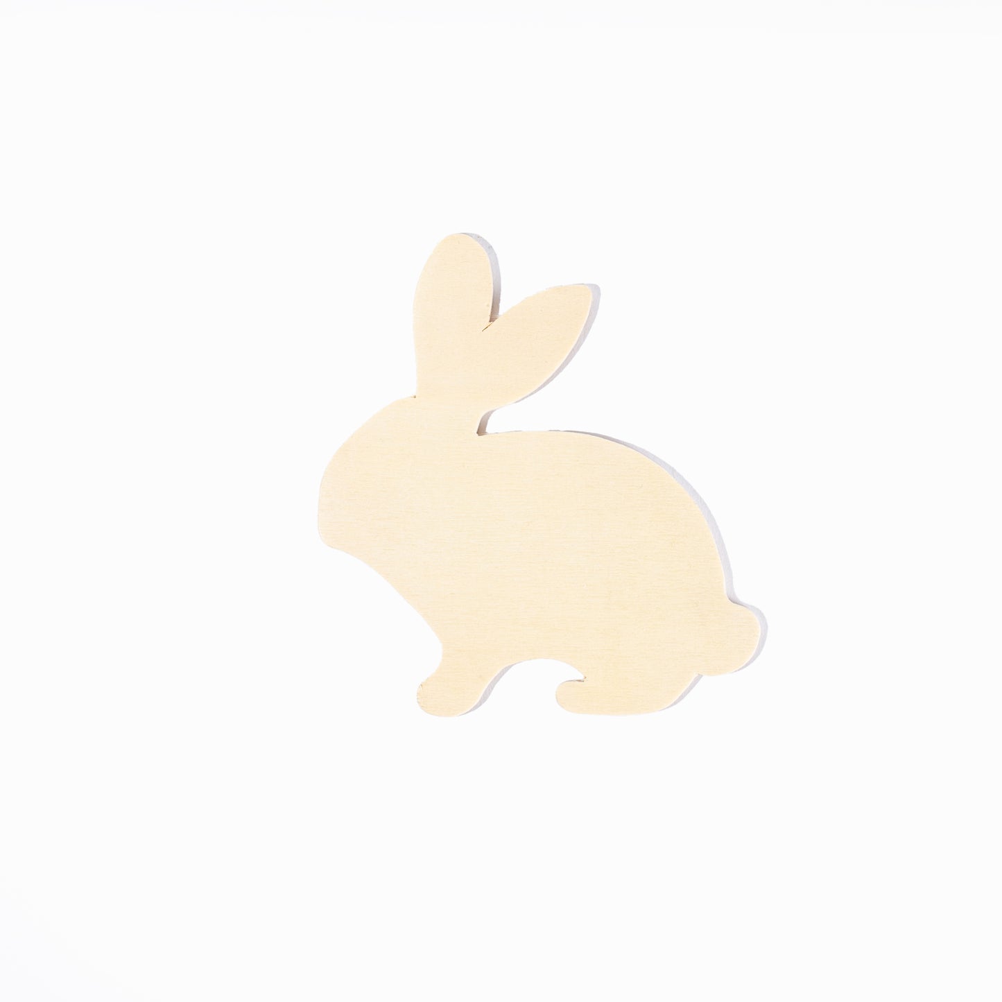 Assorted Wooden Animal Shapes (12 Pack)