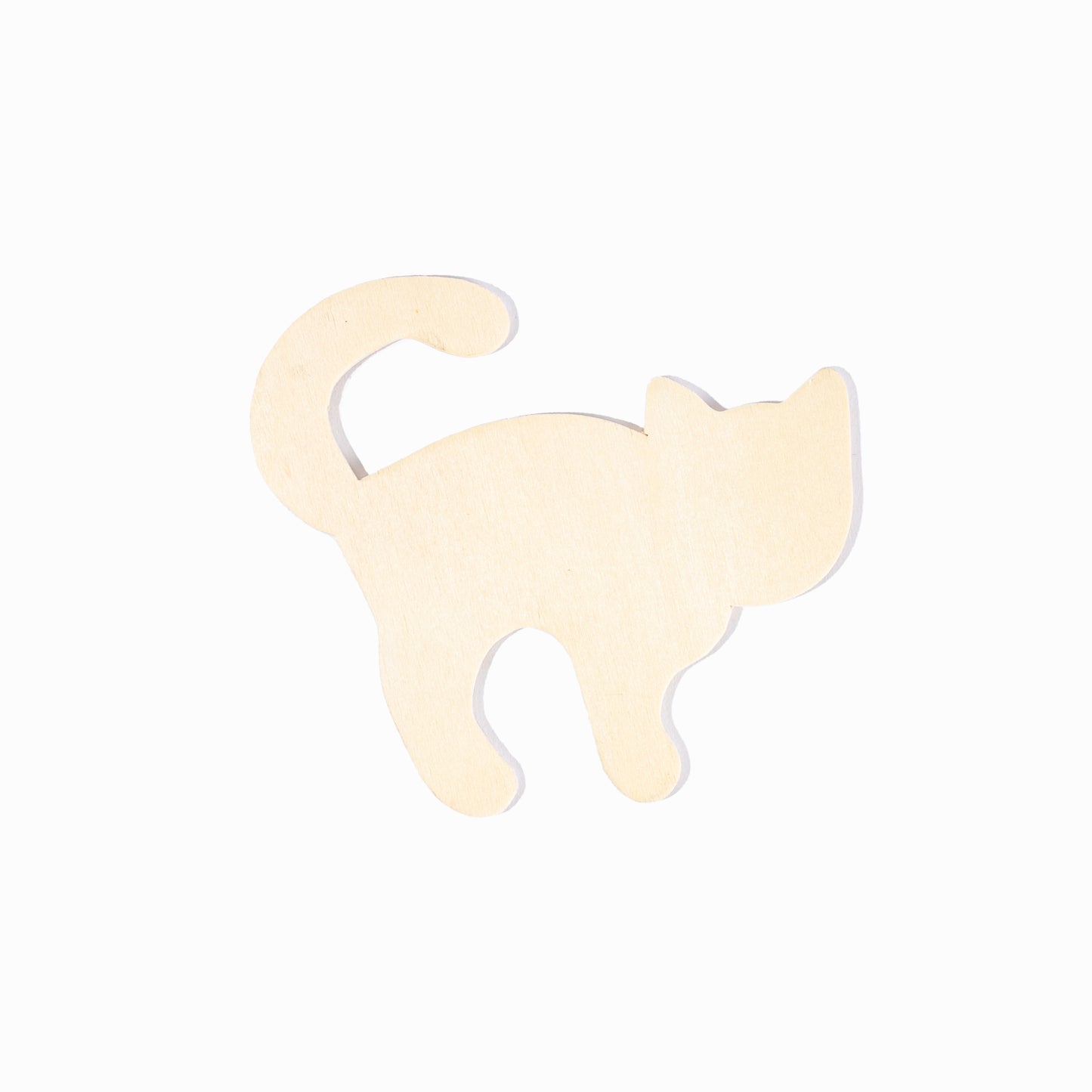 Assorted Wooden Animal Shapes (12 Pack)