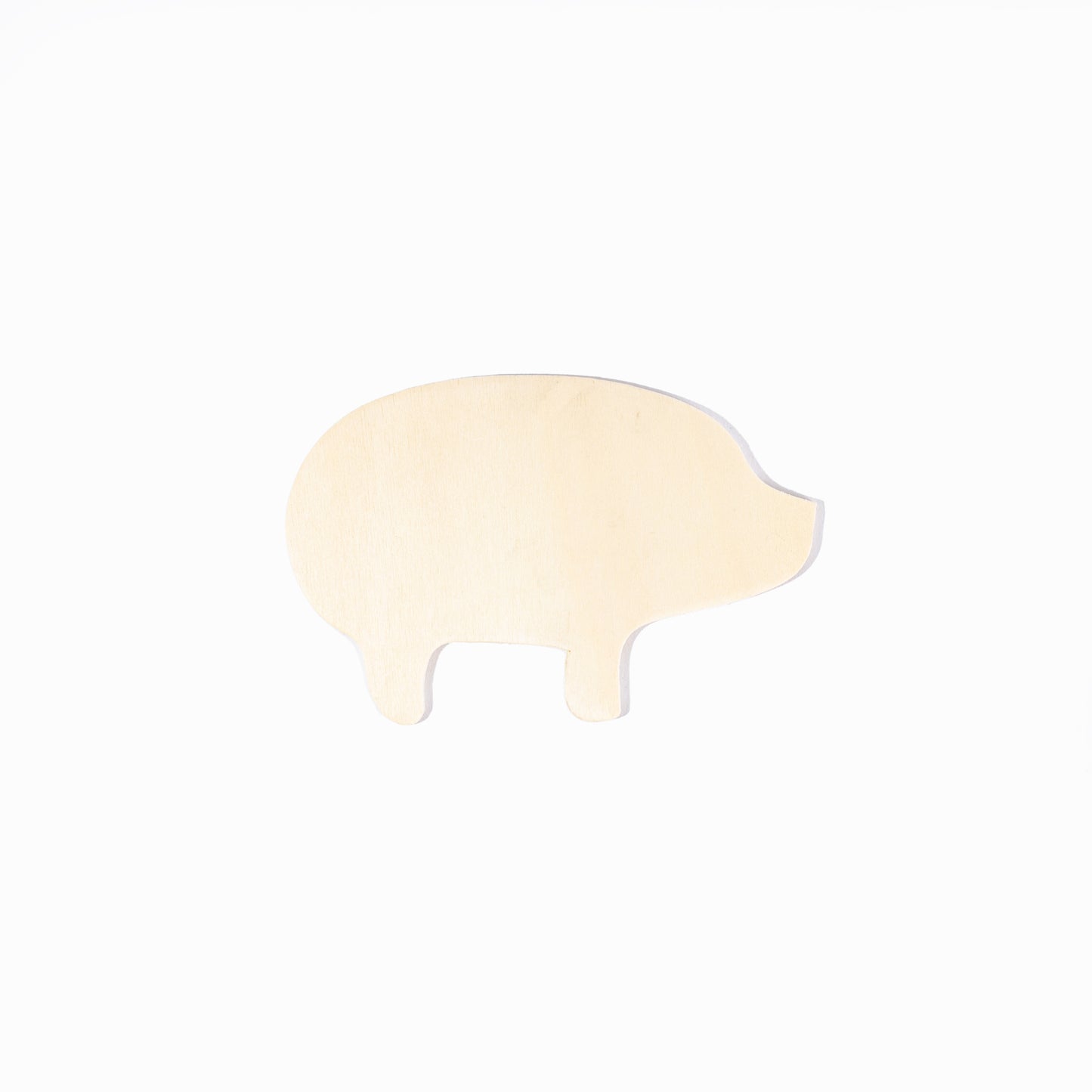 Assorted Wooden Animal Shapes (12 Pack)