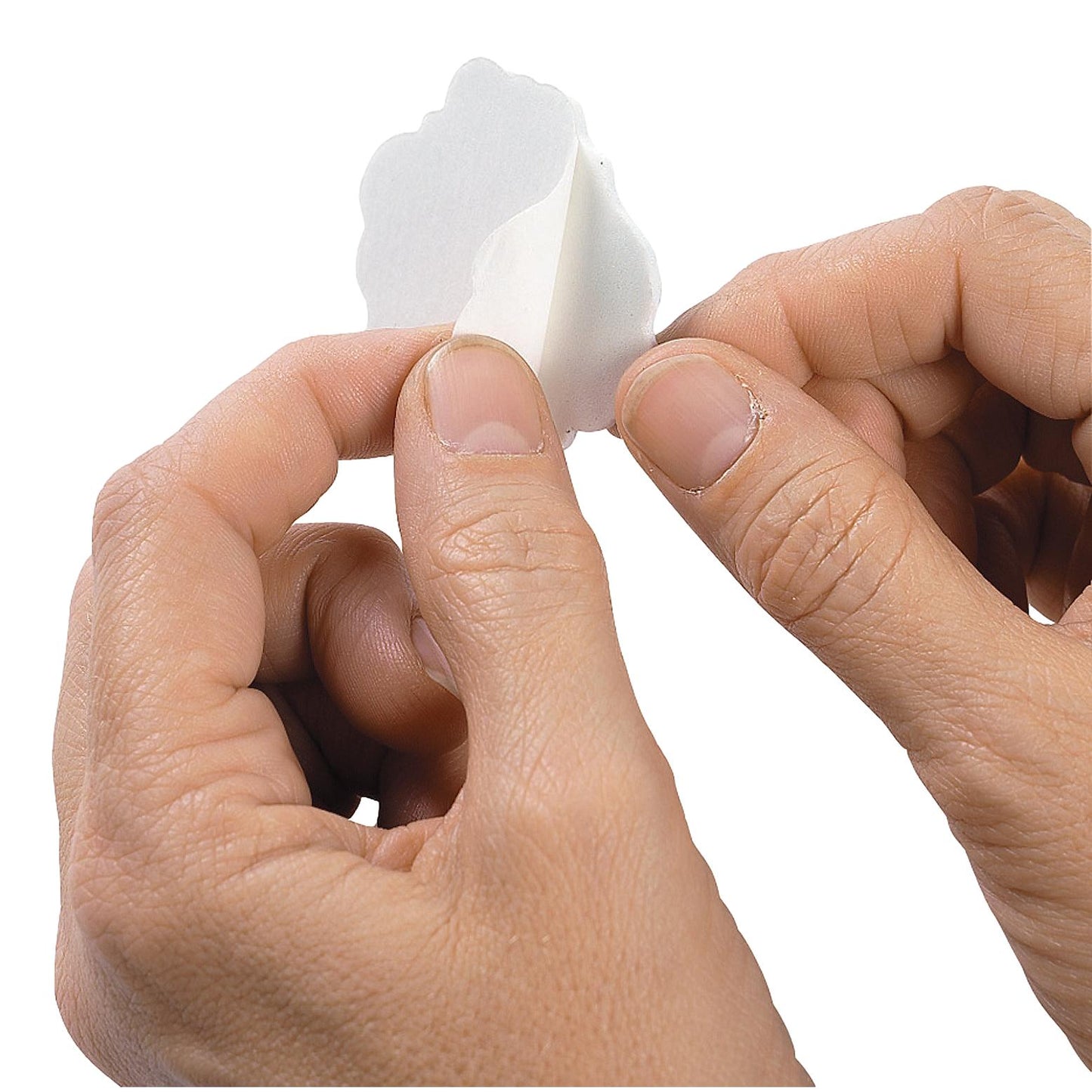 Foam Fish Stickers (500 Pack)