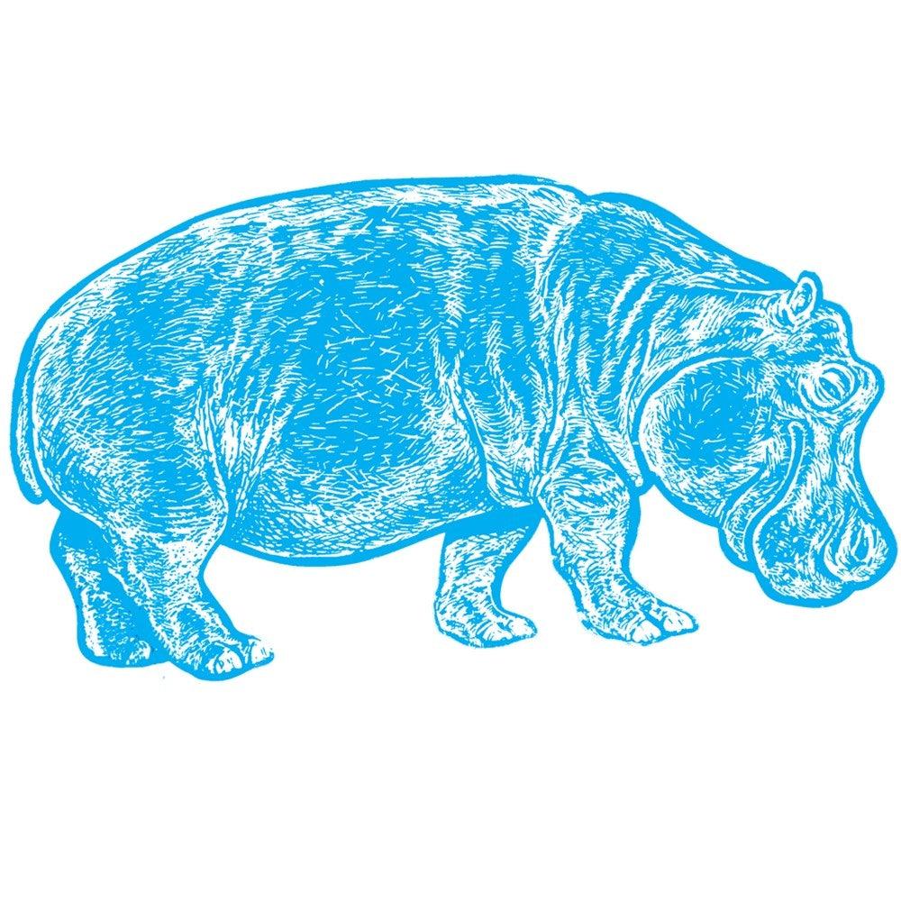 Color Reveal African Animals (36 Pack) - EconoCrafts