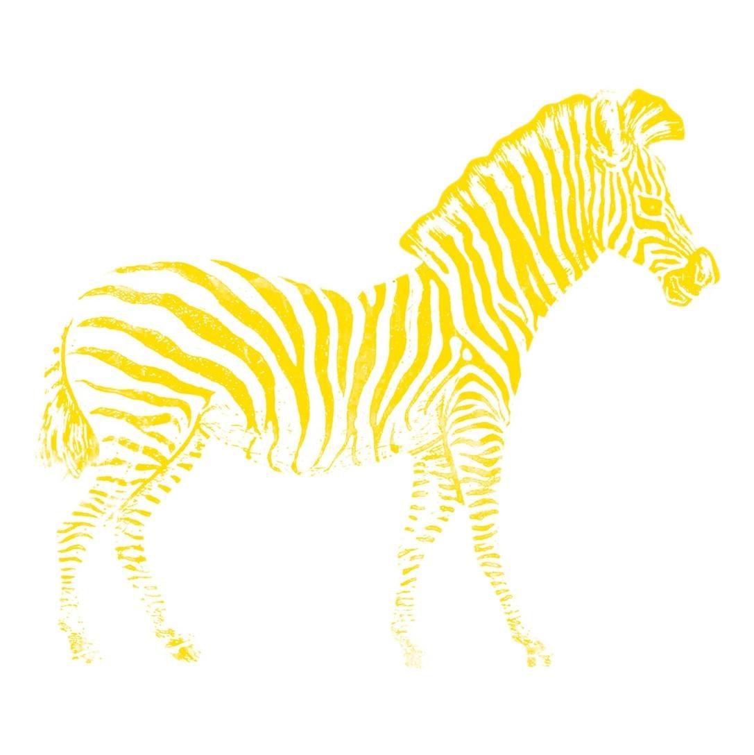 Color Reveal African Animals (36 Pack) - EconoCrafts