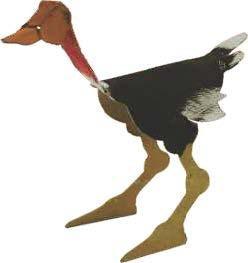 Wild Animal Sculpture Cards (24 Pack) - EconoCrafts