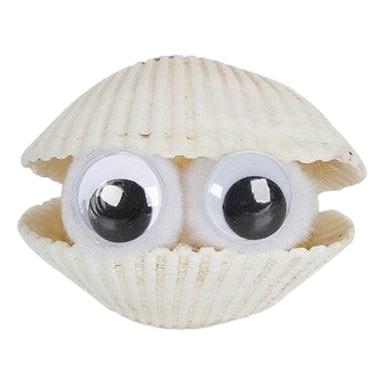 Large Natural Seashells (8 oz)