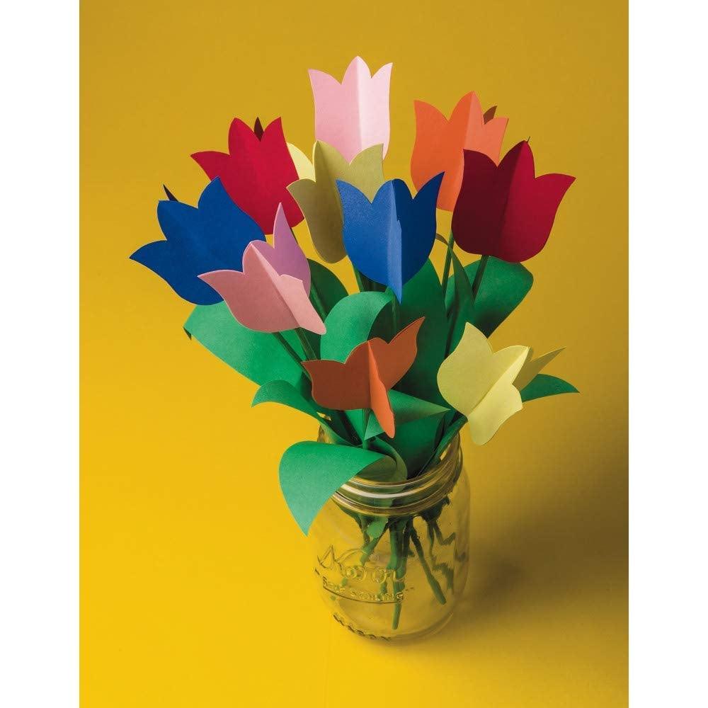 Lightweight Construction Paper (500 Pack) - EconoCrafts