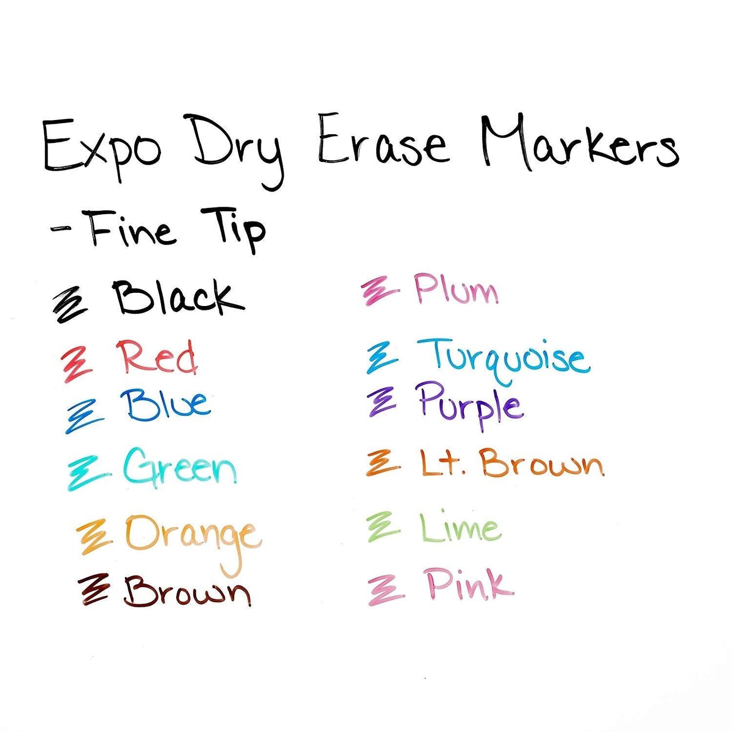 EXPO Low Odor Dry Erase Markers - Fine Tip (Set of 12) - EconoCrafts