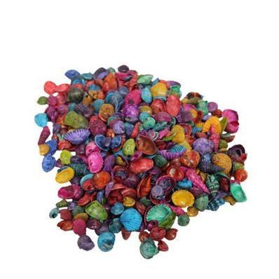 Small Dyed Seashells (4 1/2 oz) - EconoCrafts