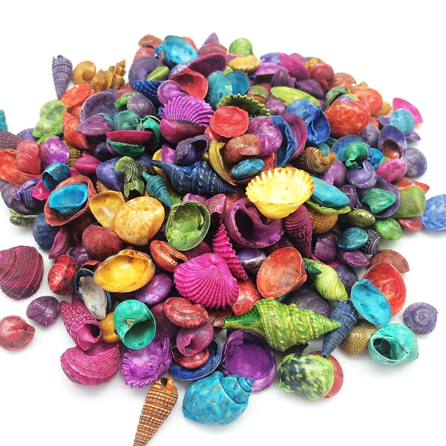 Large Dyed Seashells (8 oz) - EconoCrafts