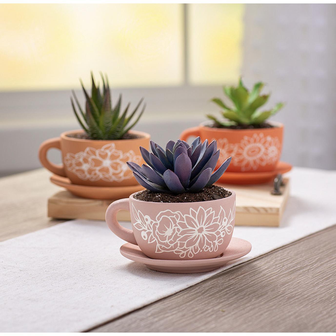 DIY Ceramic Tea Cup Planters (6 Pack) - EconoCrafts