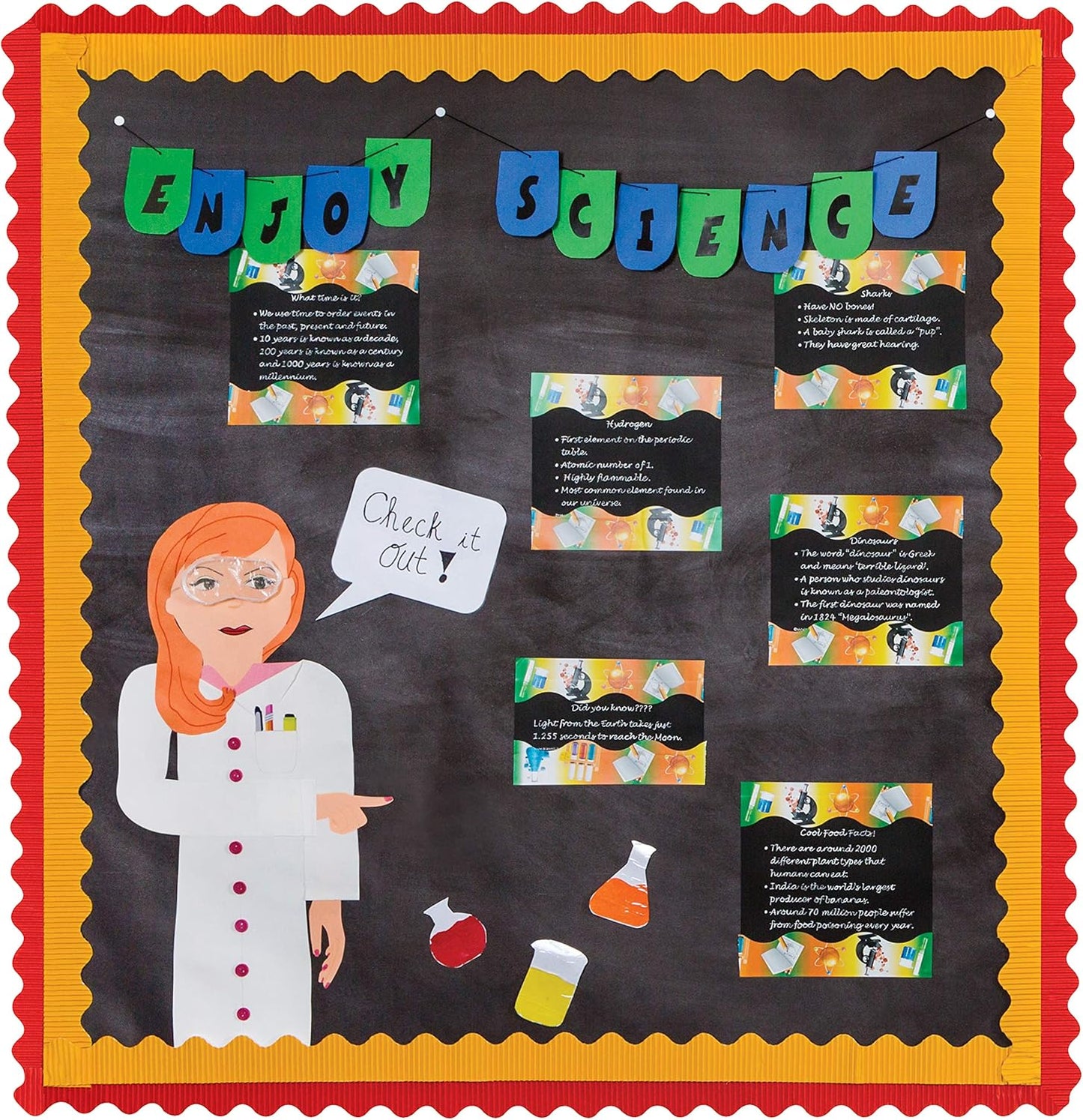 Bordette Bulletin Board Border - Orange (2 1/4" x 50')