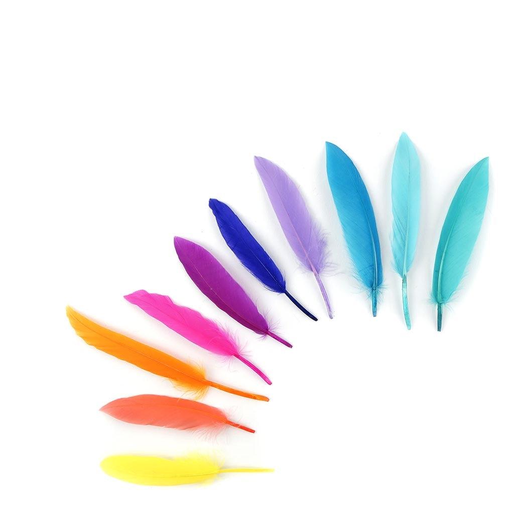 Quill Feathers (82 Pack) - EconoCrafts