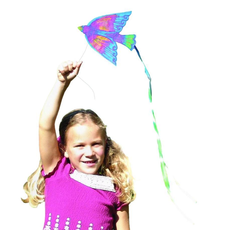 Bird Kites (32 Pack) - EconoCrafts