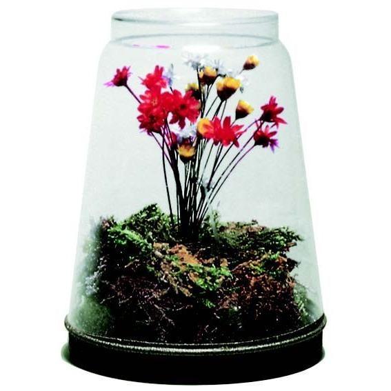 DIY Dried Flower Terrarium (50 Pack) - EconoCrafts