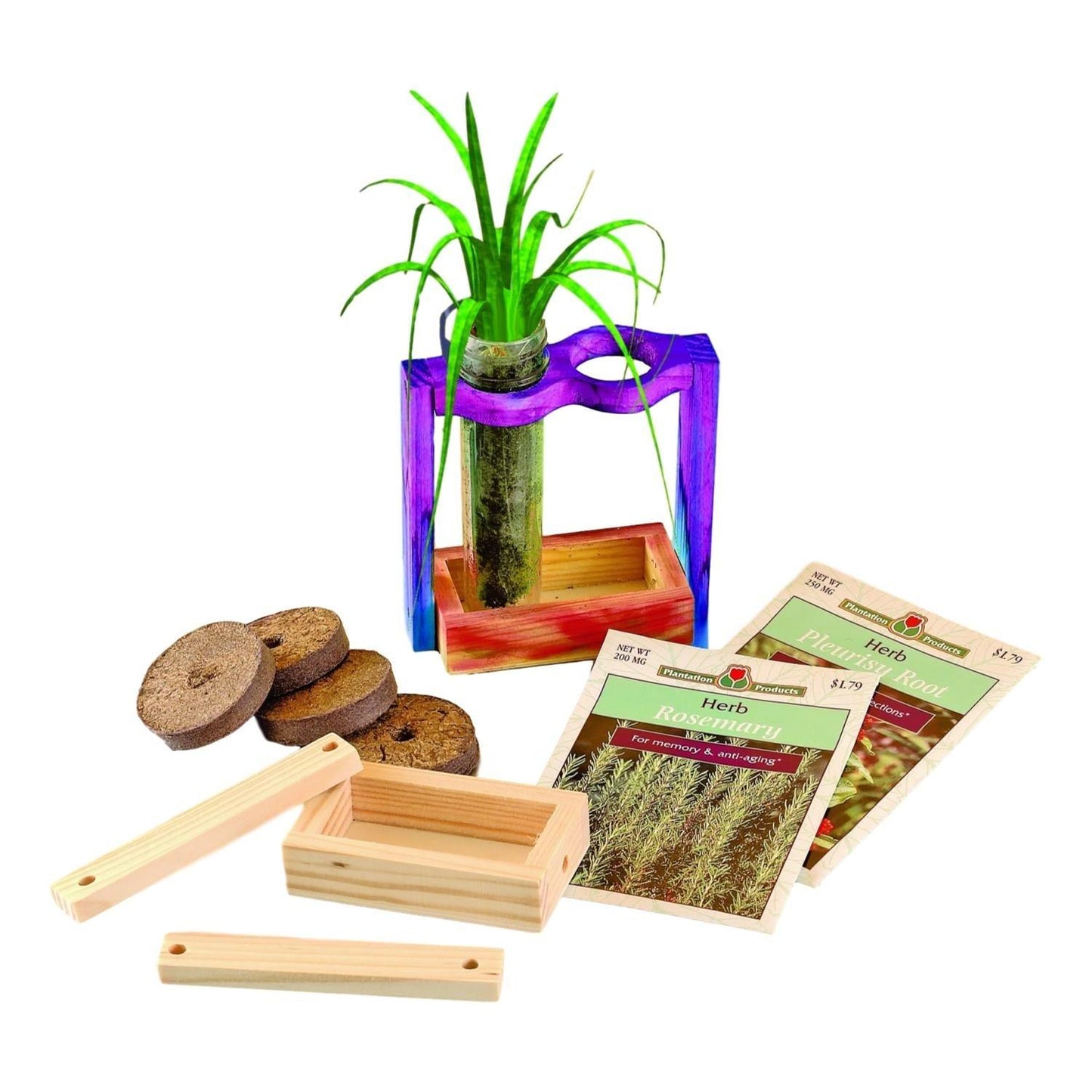 DIY Root Viewers (12 Pack) - EconoCrafts