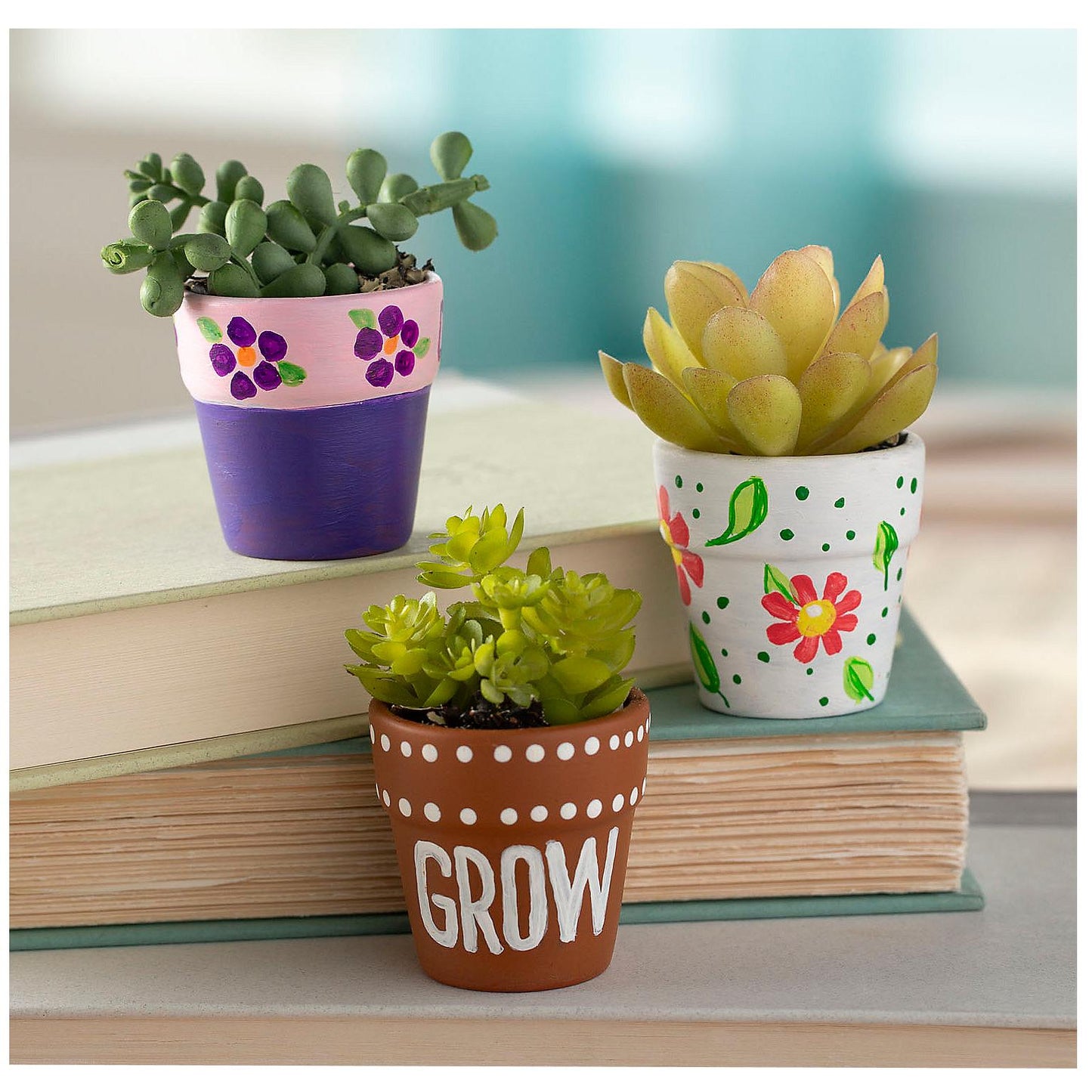 Mini Terra Cotta Pots (12 Pack)