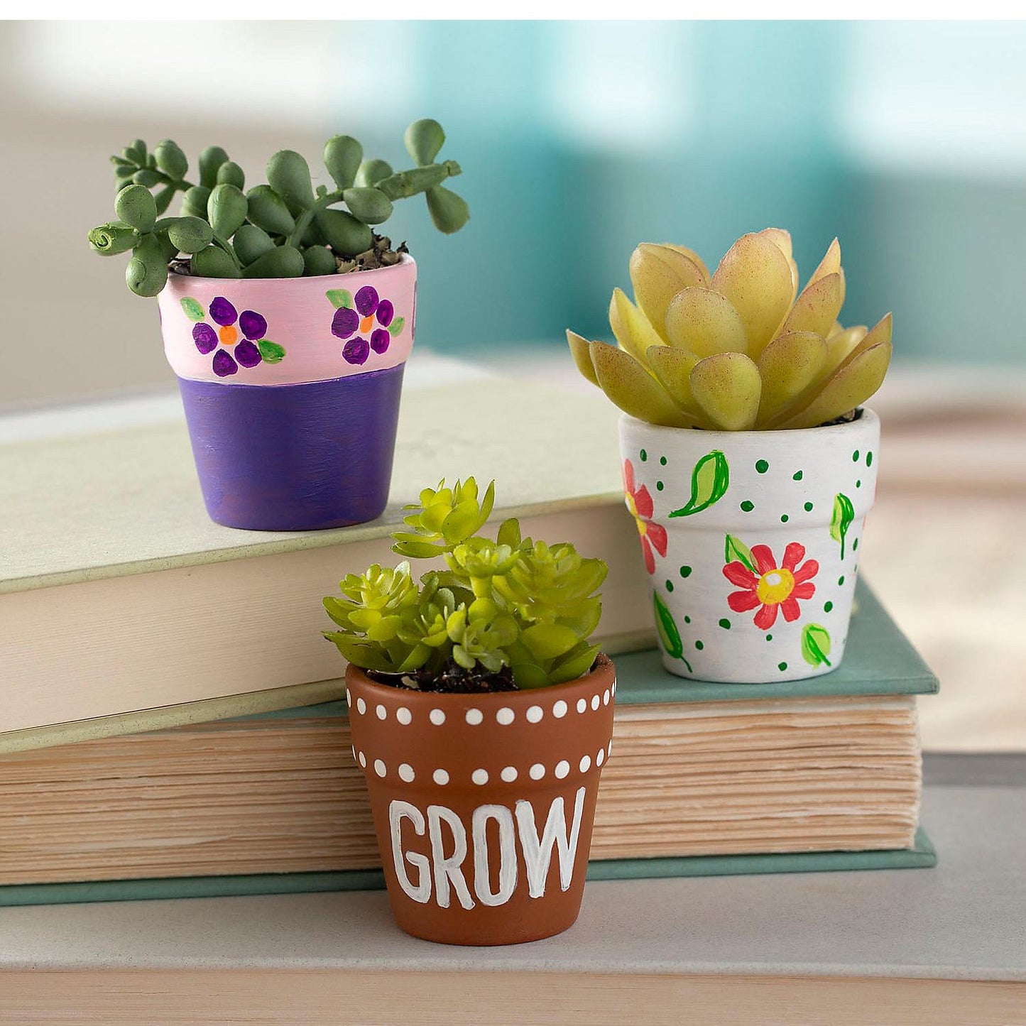 Mini Terra Cotta Pots (12 Pack)