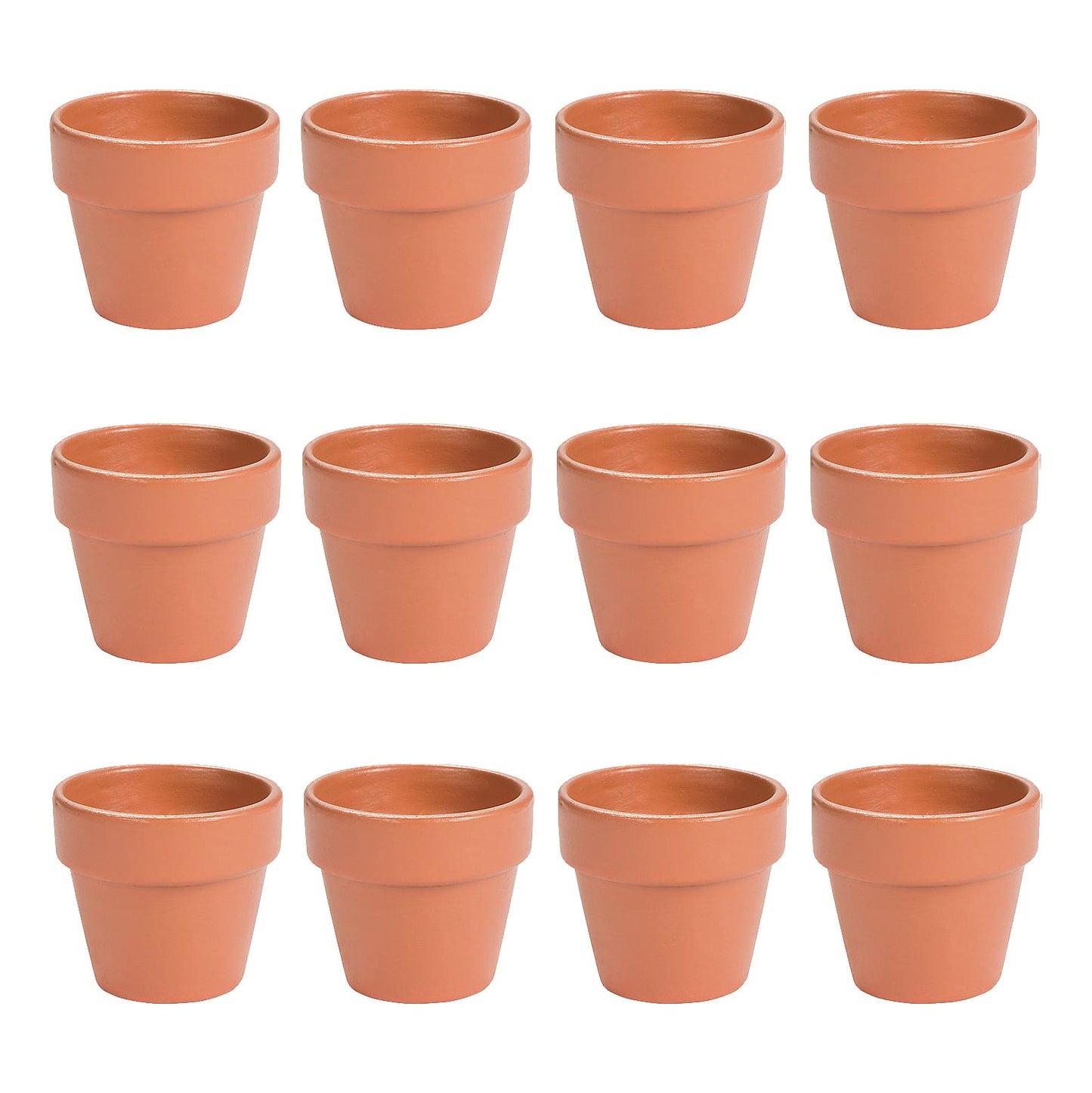 Mini Terra Cotta Pots (12 Pack)