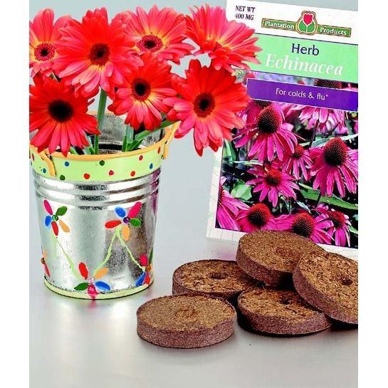 DIY Flower Garden (12 Pack) - EconoCrafts