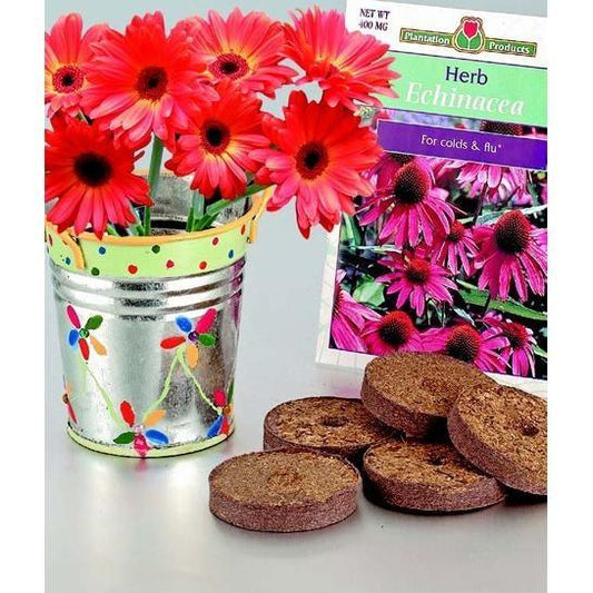 DIY Flower Garden (12 Pack) - EconoCrafts