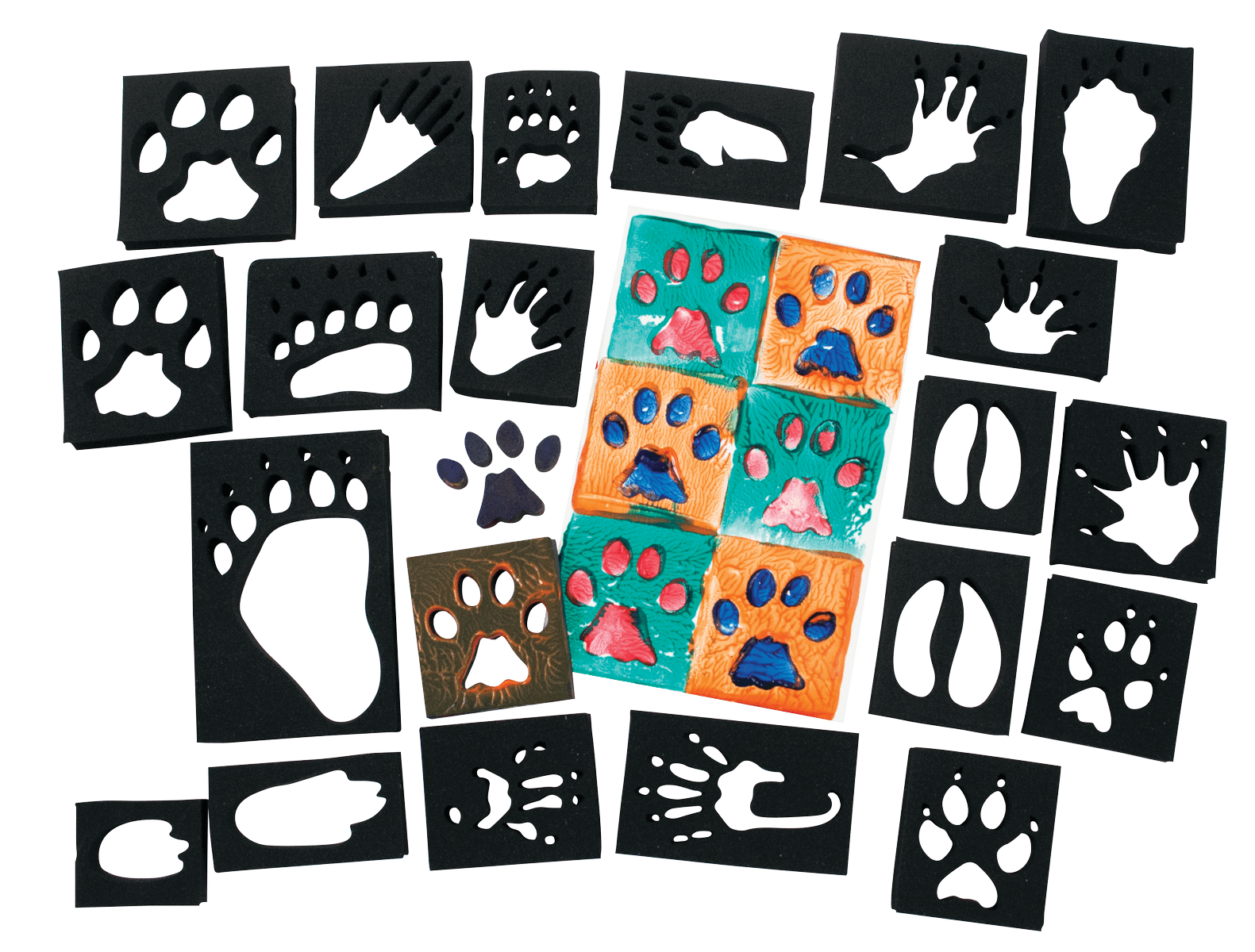 Animal Track Stampers (Set of 24) - EconoCrafts