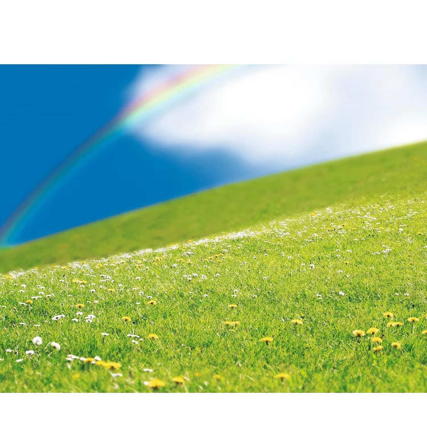 Realistic Bugs & Flowers Sticker Scenes (12 Pack)