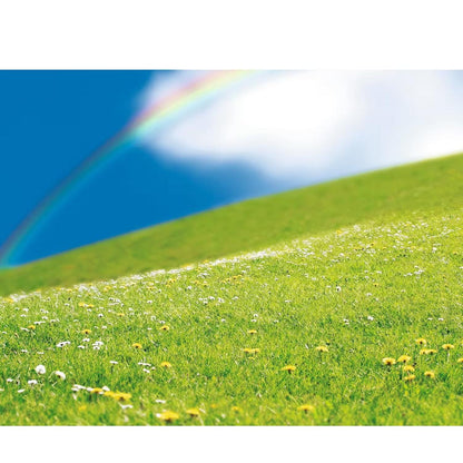 Realistic Bugs & Flowers Sticker Scenes (12 Pack)