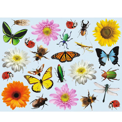 Realistic Bugs & Flowers Sticker Scenes (12 Pack)