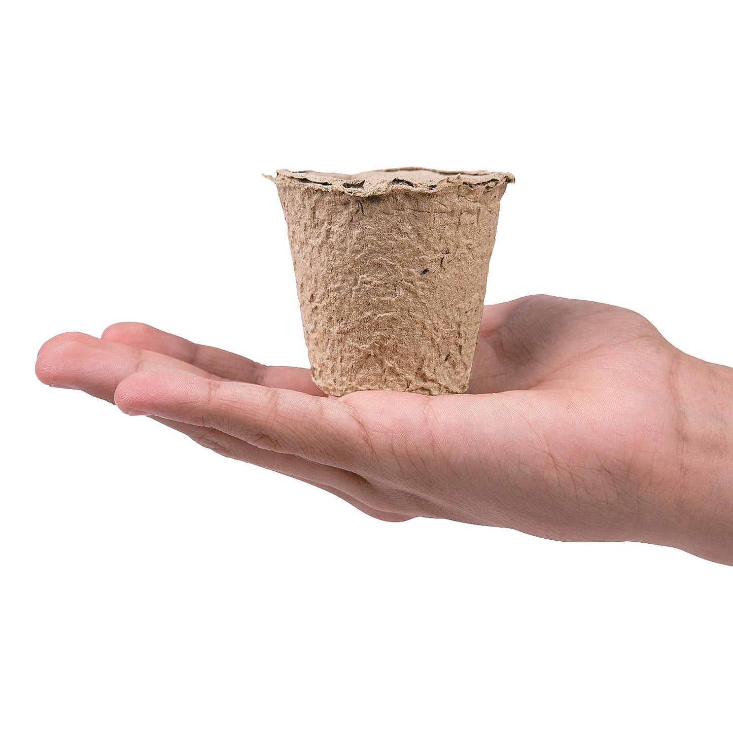 DIY Watch It Grow Seed Pots (24 Pack)