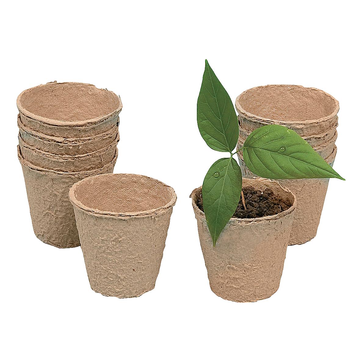 DIY Watch It Grow Seed Pots (24 Pack)
