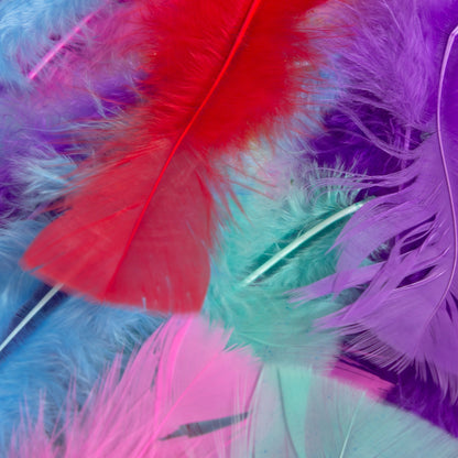 Turkey Feathers - Rainbow (Approx. 130 Pack)