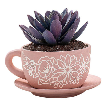 DIY Ceramic Tea Cup Planters (6 Pack)