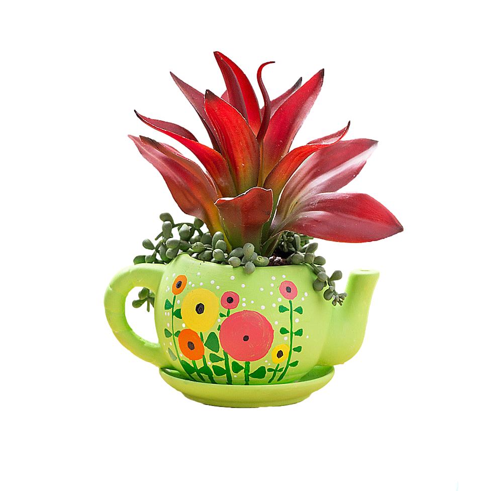 ceramic tea cup and saucer planter DIY Ceramic Tea Cup Planters (6 Pack)