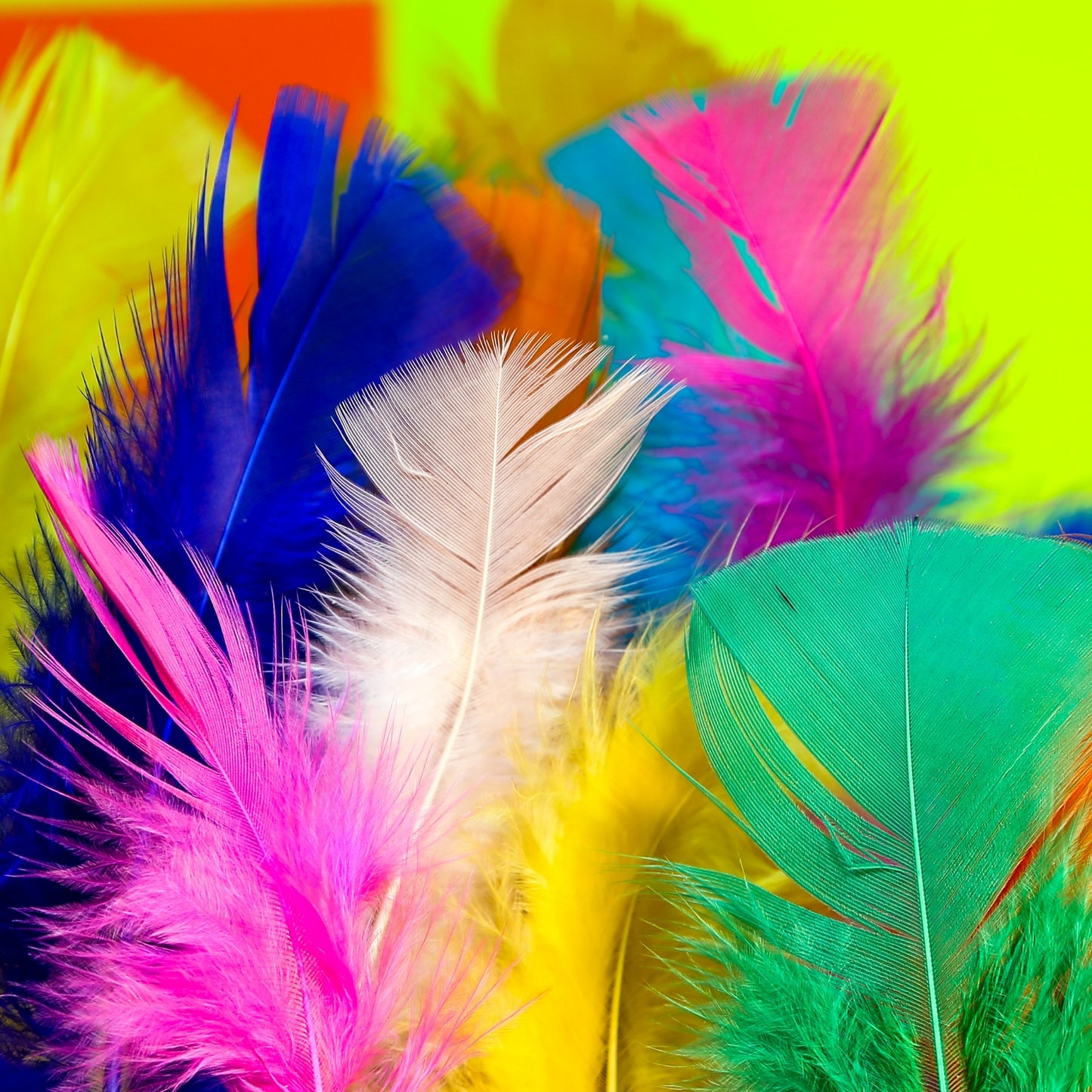 Turkey Feathers - Rainbow (Approx. 130 Pack)