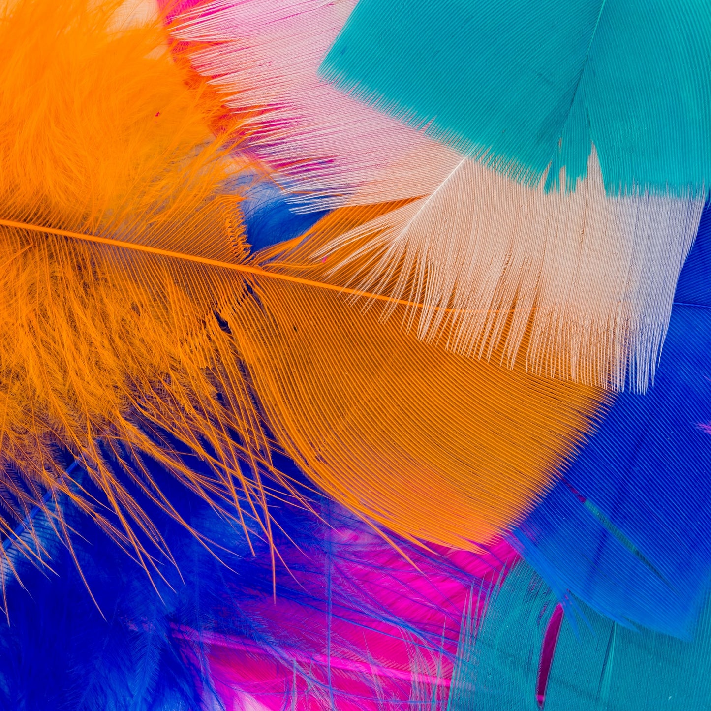 Turkey Feathers - Rainbow (Approx. 130 Pack)