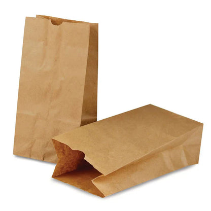 Brown Paper Bags #5 (100 Pack)