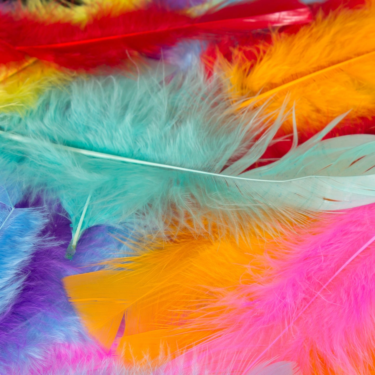 Turkey Feathers - Rainbow (Approx. 130 Pack)