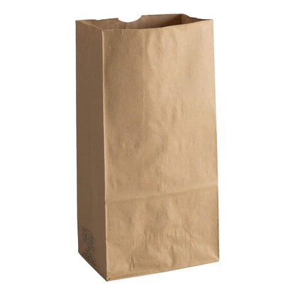 Brown Paper Bags #5 (100 Pack)
