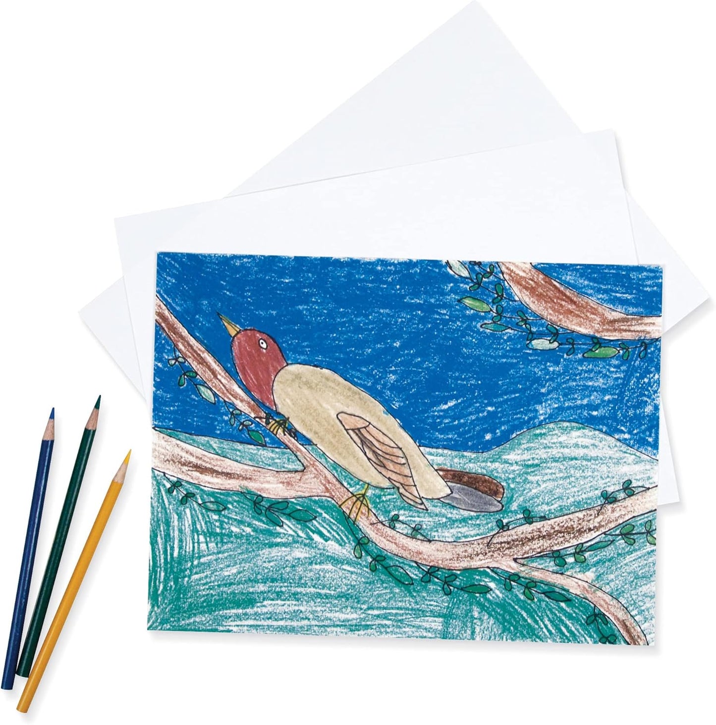 White Drawing Paper - 12" X 18" (500 Sheets)