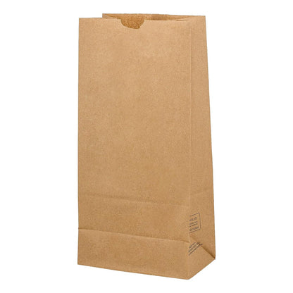 Brown Paper Bags #5 (100 Pack)