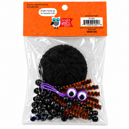 DIY Halloween Spider Craft Kit