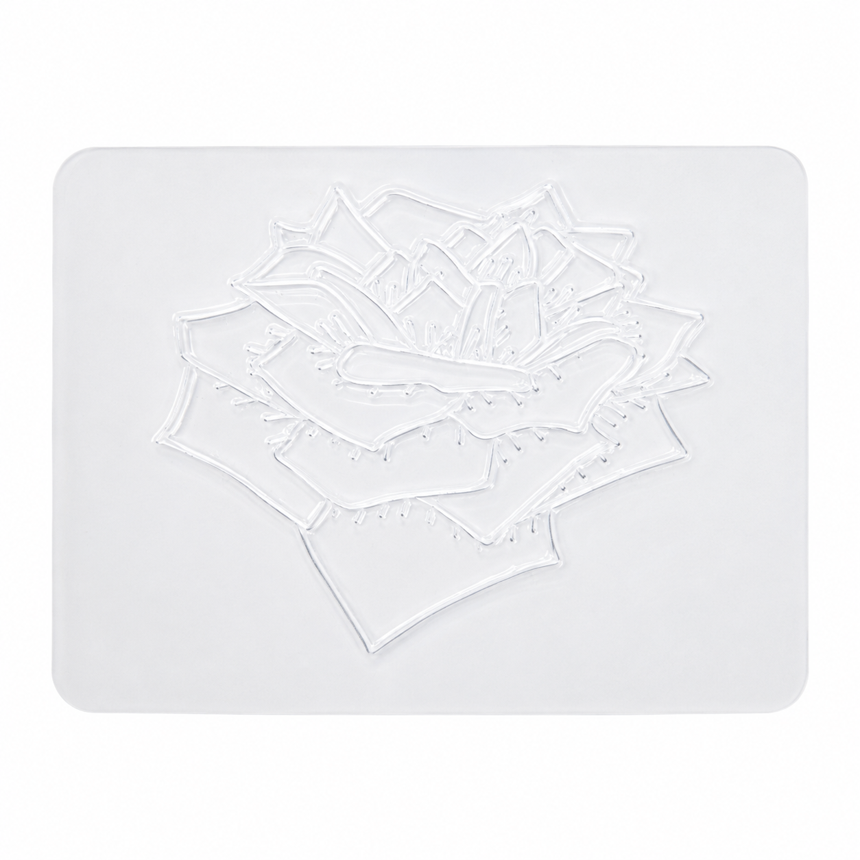 Flower Rubbing Plates (Set of 16)