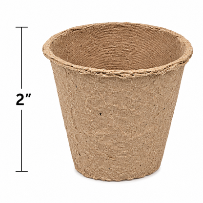 DIY Watch It Grow Seed Pots (24 Pack)