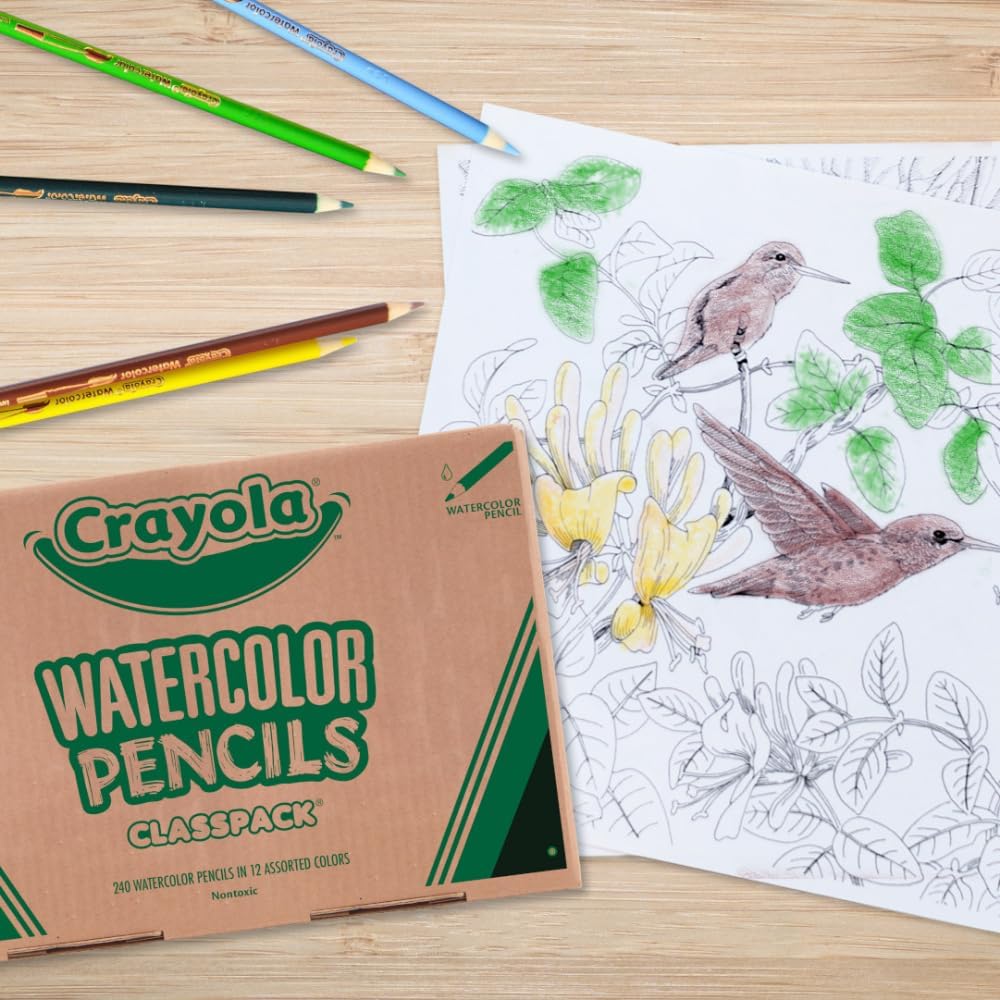 Crayola Watercolor Pencils Classpack - 12 Colors (240 Pack)