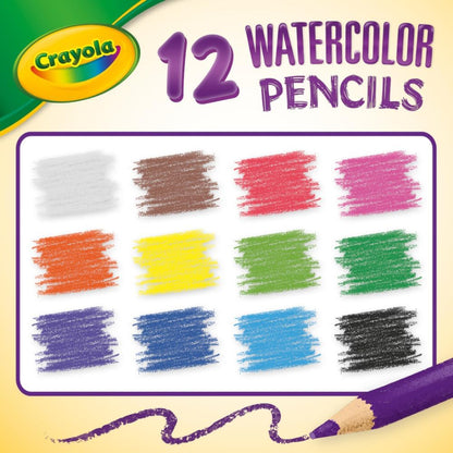Crayola Watercolor Pencils Classpack - 12 Colors (240 Pack)