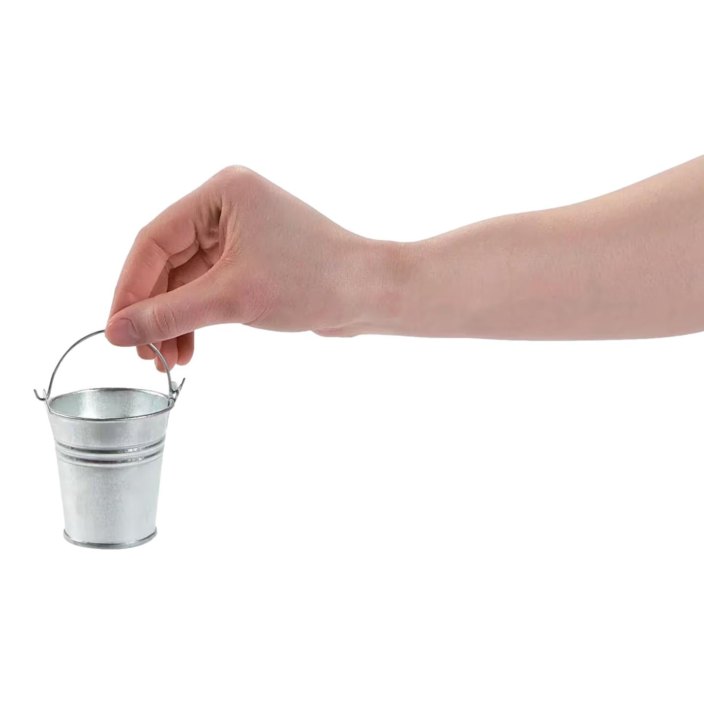 Mini Galvanized Metal Pails (12 Pack)