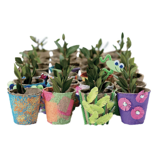 DIY Watch It Grow Seed Pots (24 Pack)