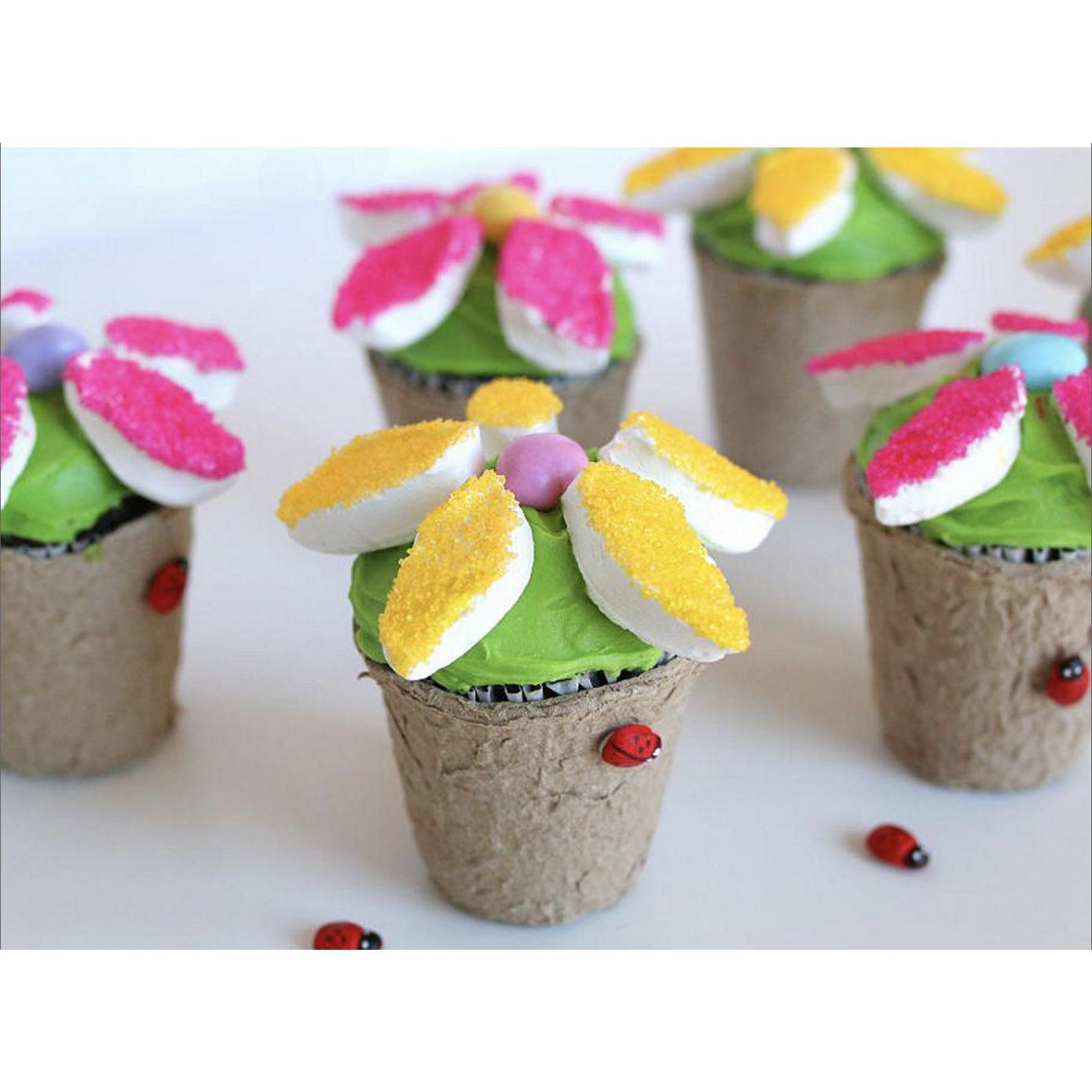 DIY Watch It Grow Seed Pots (24 Pack)