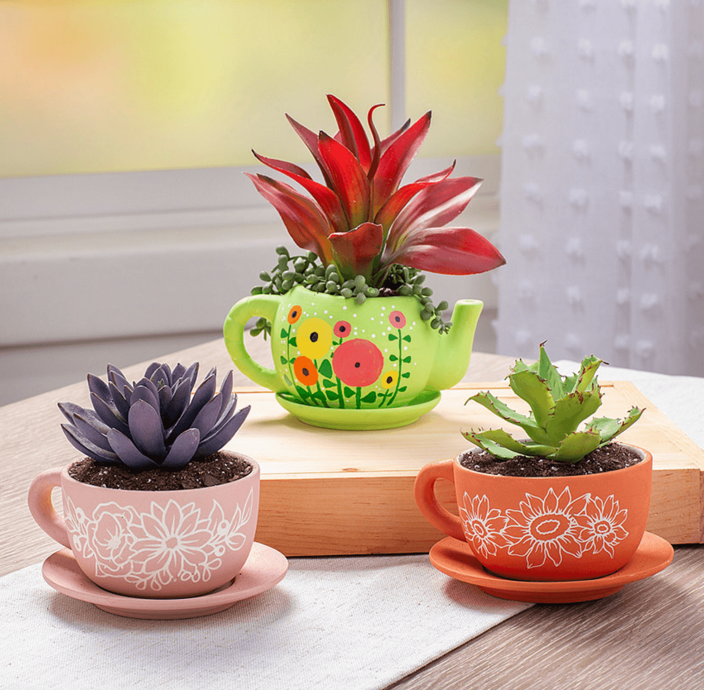 teacup succulent pots DIY Ceramic Tea Cup Planters (6 Pack)