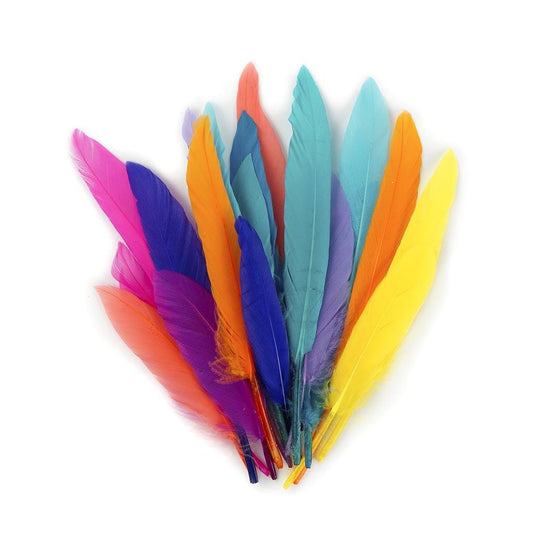 Quill Feathers (82 Pack) - EconoCrafts