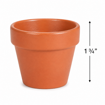 Mini Terra Cotta Pots (12 Pack)